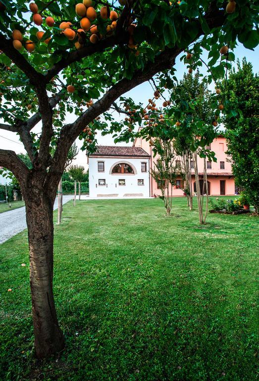 Brick House Silea Villa Esterno foto